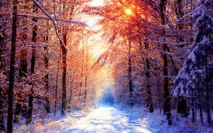 t8b197a_Winter_Wallpaper_III_by_emats